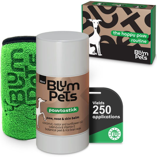The Happy Paw Routine