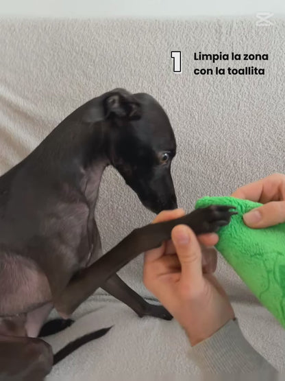 The Happy Paw Routine